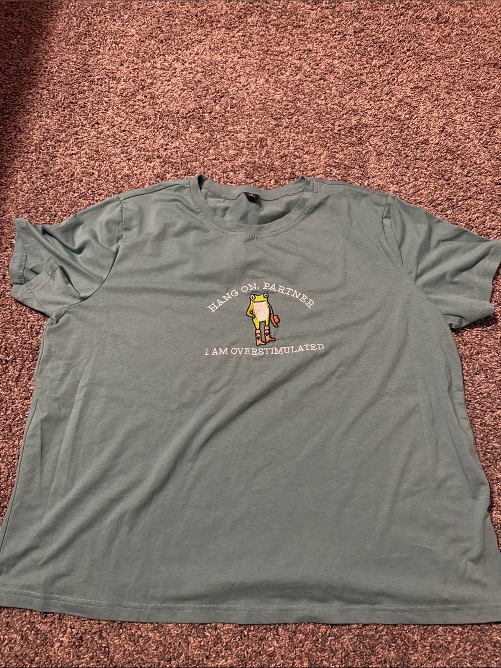 SHEIN Sage Green Short Sleeve Graphic Tee